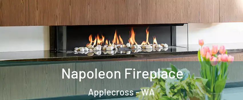 Napoleon Fireplace Applecross - WA