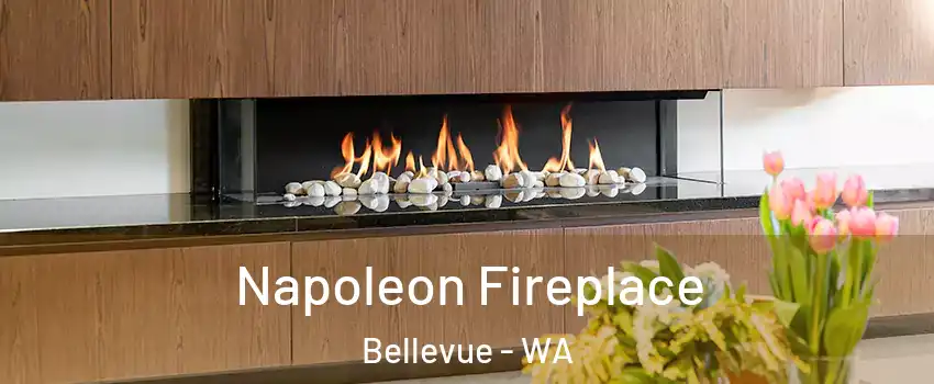 Napoleon Fireplace Bellevue - WA