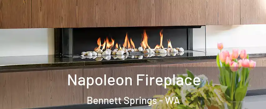 Napoleon Fireplace Bennett Springs - WA