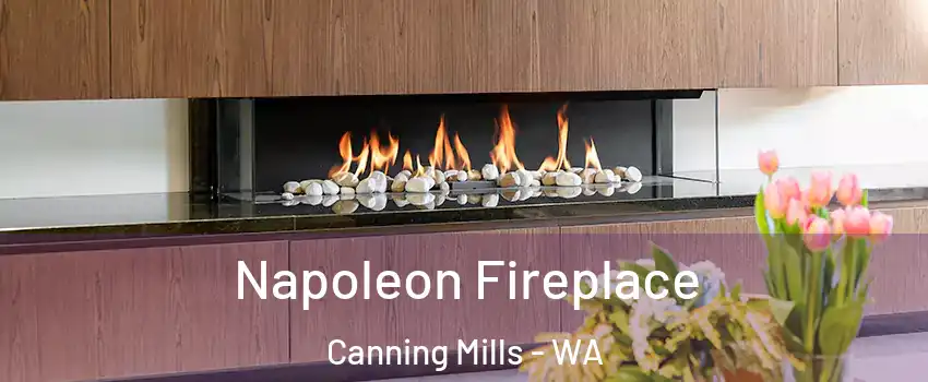 Napoleon Fireplace Canning Mills - WA