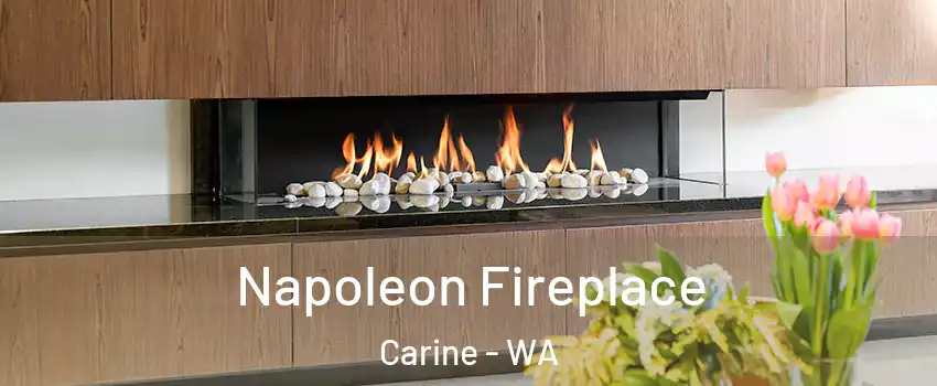 Napoleon Fireplace Carine - WA