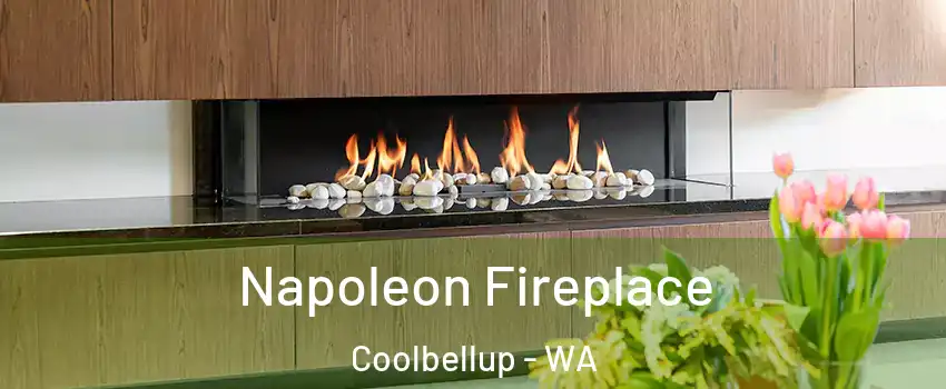 Napoleon Fireplace Coolbellup - WA