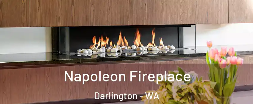 Napoleon Fireplace Darlington - WA