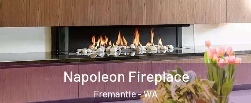 Napoleon Fireplace Fremantle - WA
