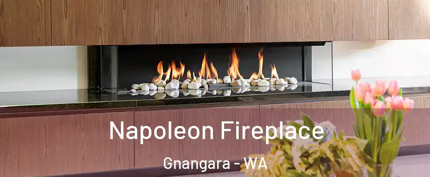 Napoleon Fireplace Gnangara - WA