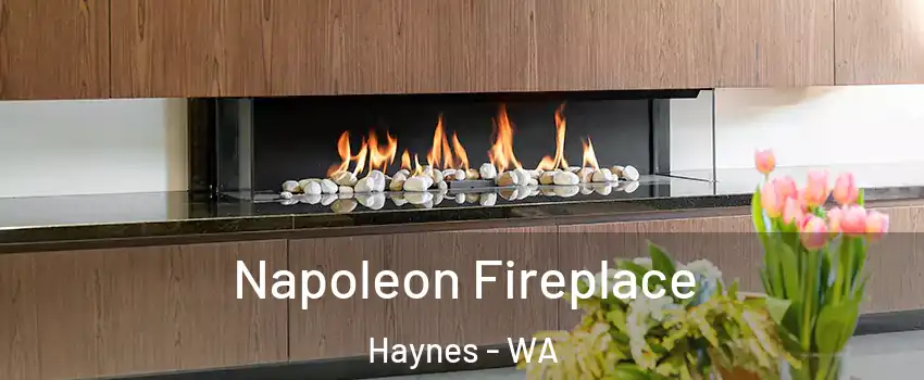 Napoleon Fireplace Haynes - WA