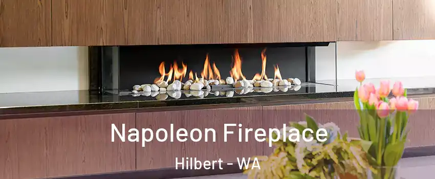 Napoleon Fireplace Hilbert - WA