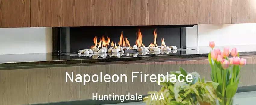 Napoleon Fireplace Huntingdale - WA