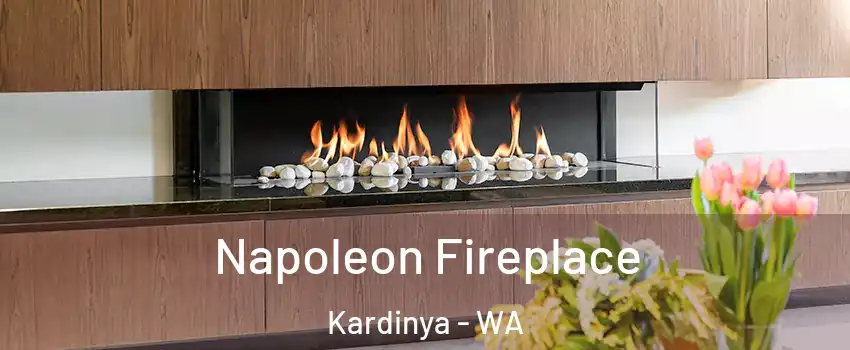 Napoleon Fireplace Kardinya - WA
