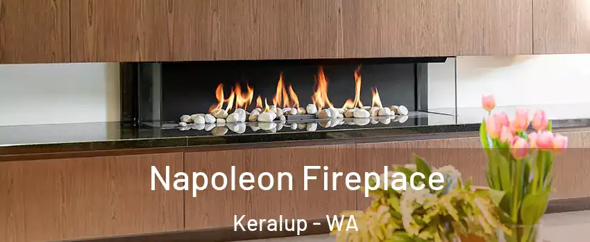 Napoleon Fireplace Keralup - WA