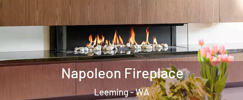 Napoleon Fireplace Leeming - WA