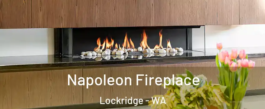 Napoleon Fireplace Lockridge - WA