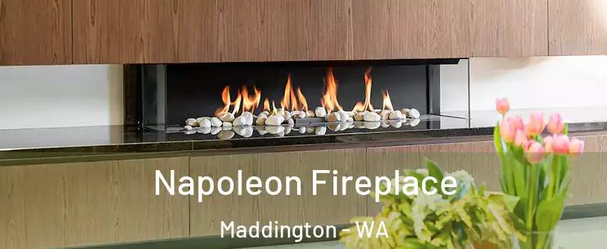 Napoleon Fireplace Maddington - WA