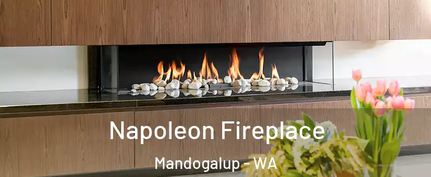 Napoleon Fireplace Mandogalup - WA