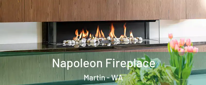 Napoleon Fireplace Martin - WA