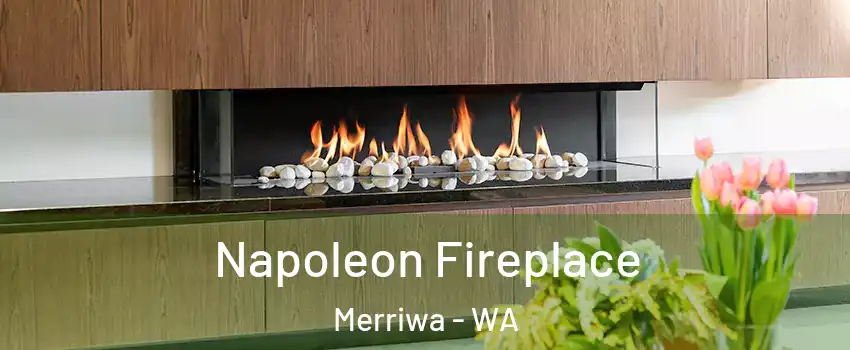 Napoleon Fireplace Merriwa - WA