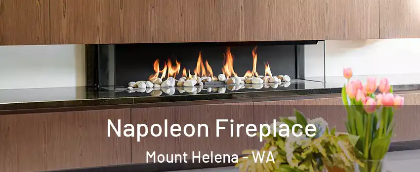 Napoleon Fireplace Mount Helena - WA