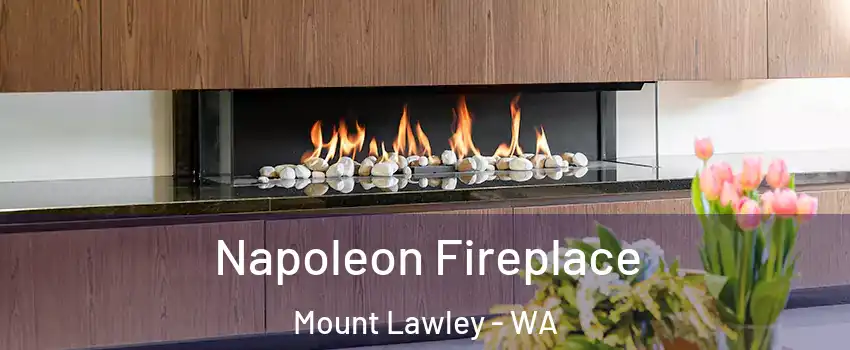 Napoleon Fireplace Mount Lawley - WA