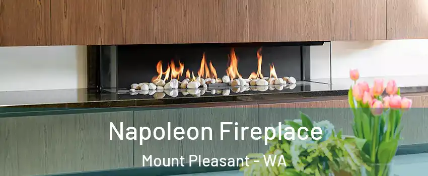 Napoleon Fireplace Mount Pleasant - WA
