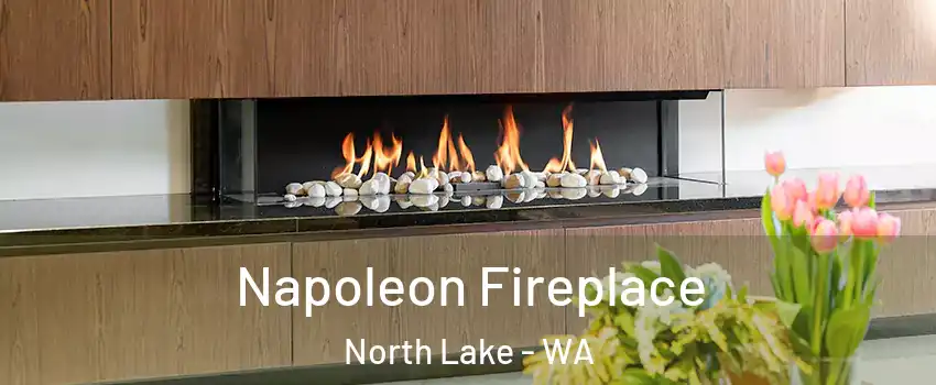 Napoleon Fireplace North Lake - WA