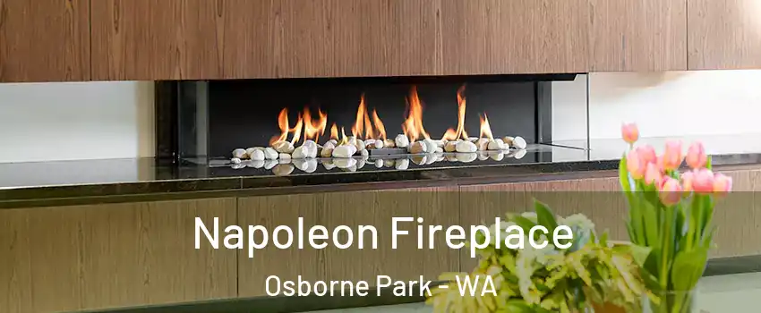 Napoleon Fireplace Osborne Park - WA