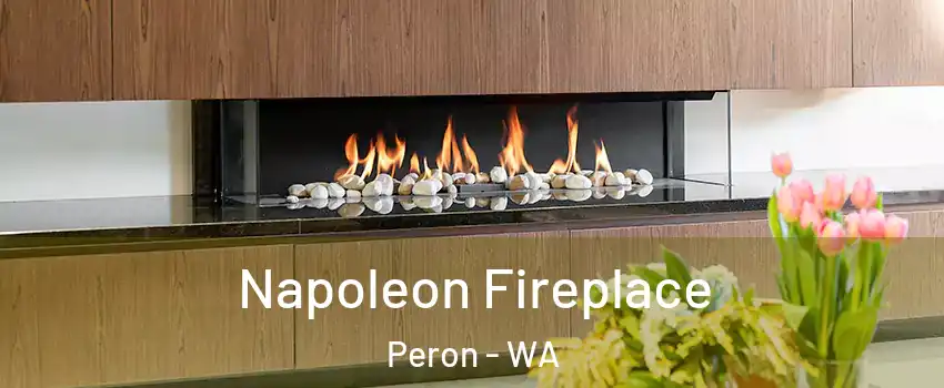 Napoleon Fireplace Peron - WA