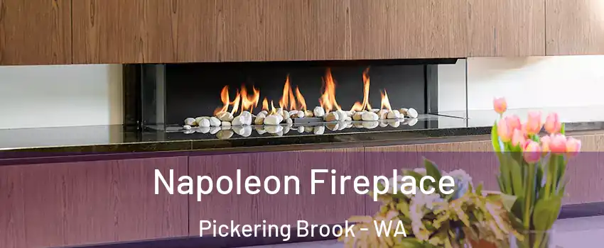 Napoleon Fireplace Pickering Brook - WA