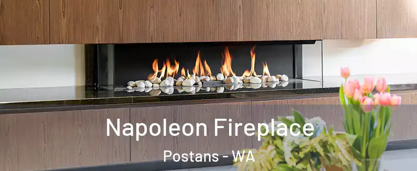 Napoleon Fireplace Postans - WA