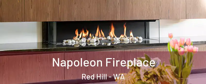 Napoleon Fireplace Red Hill - WA