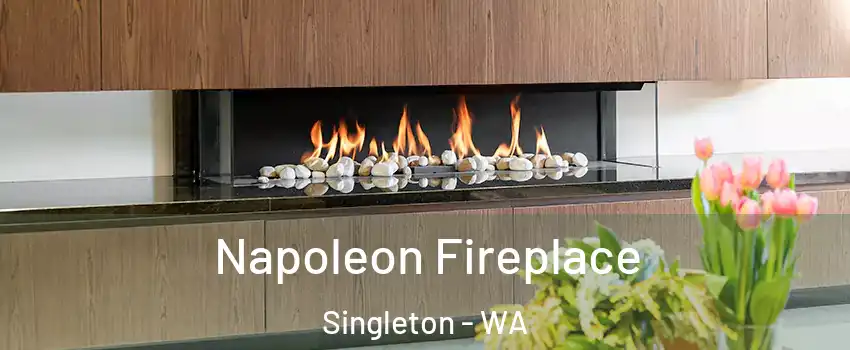 Napoleon Fireplace Singleton - WA