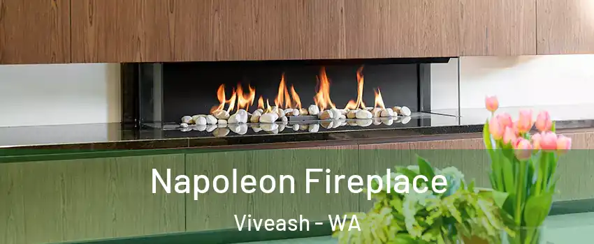 Napoleon Fireplace Viveash - WA