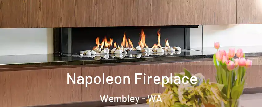 Napoleon Fireplace Wembley - WA