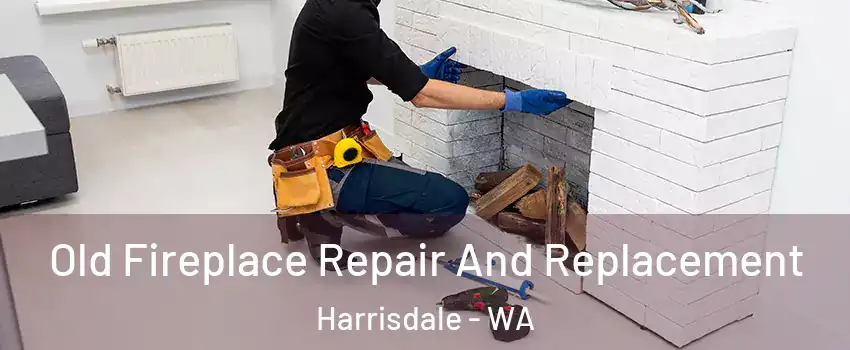 Old Fireplace Repair And Replacement Harrisdale - WA