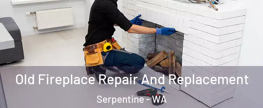 Old Fireplace Repair And Replacement Serpentine - WA