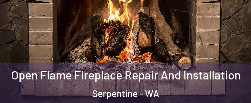 Open Flame Fireplace Repair And Installation Serpentine - WA