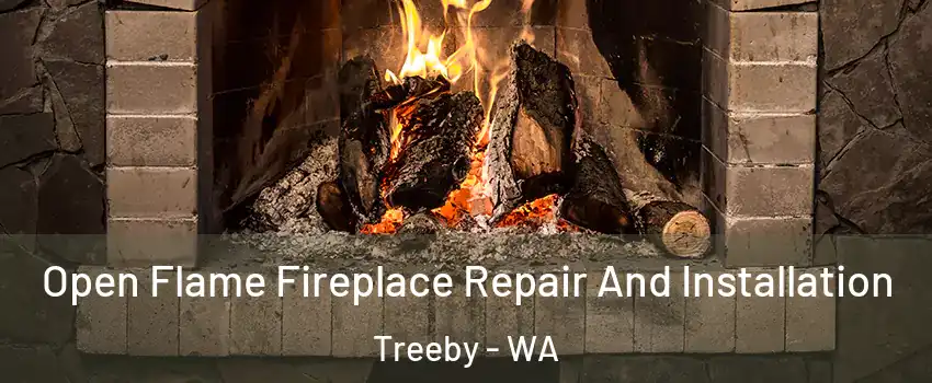 Open Flame Fireplace Repair And Installation Treeby - WA