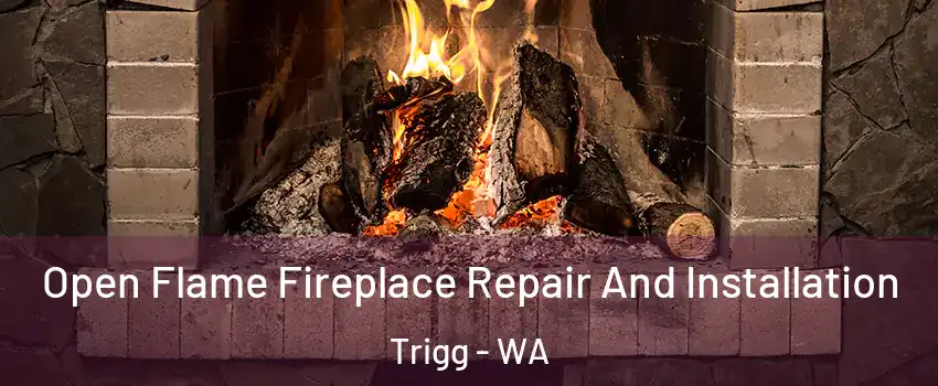 Open Flame Fireplace Repair And Installation Trigg - WA