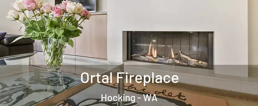 Ortal Fireplace Hocking - WA
