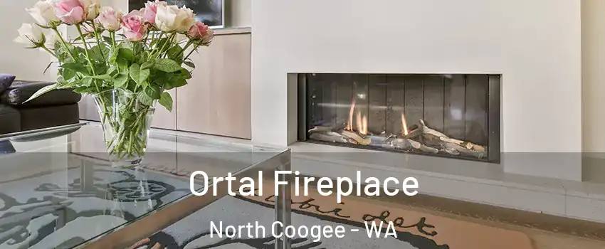 Ortal Fireplace North Coogee - WA