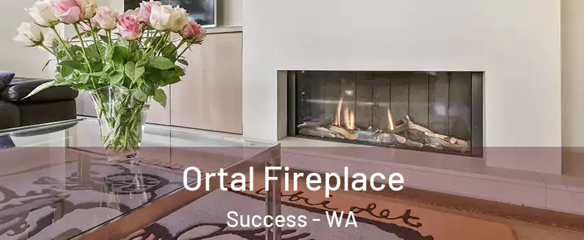 Ortal Fireplace Success - WA