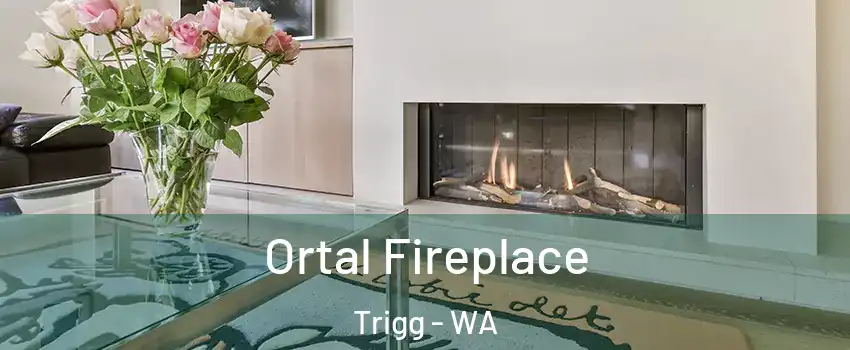 Ortal Fireplace Trigg - WA