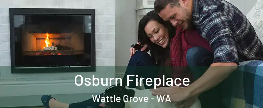 Osburn Fireplace Wattle Grove - WA