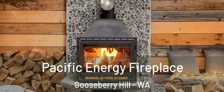 Pacific Energy Fireplace Gooseberry Hill - WA