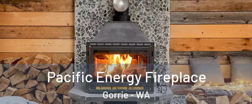 Pacific Energy Fireplace Gorrie - WA
