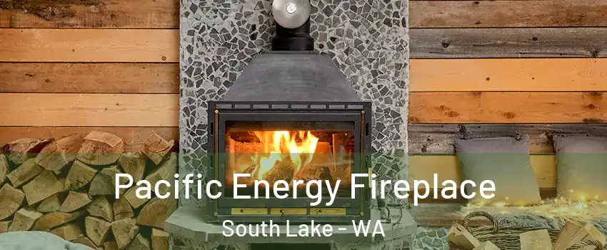 Pacific Energy Fireplace South Lake - WA