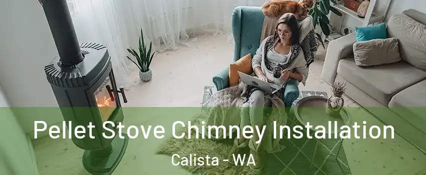 Pellet Stove Chimney Installation Calista - WA