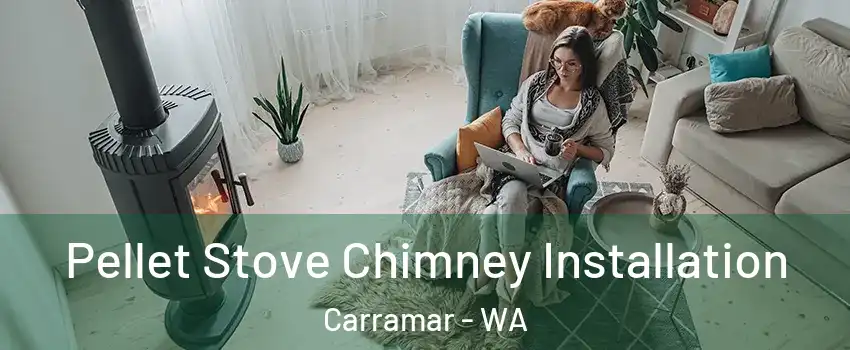Pellet Stove Chimney Installation Carramar - WA