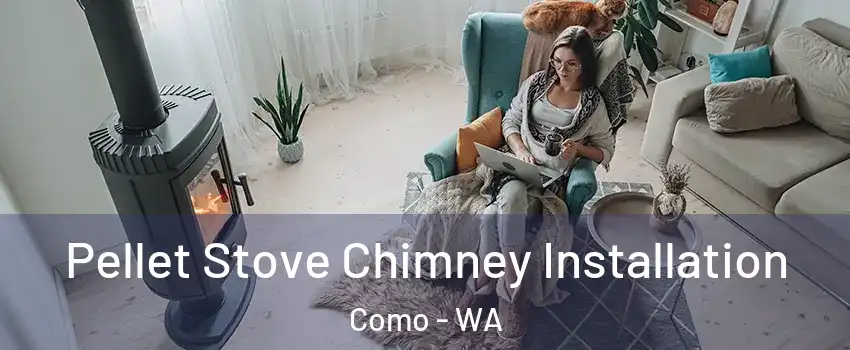 Pellet Stove Chimney Installation Como - WA