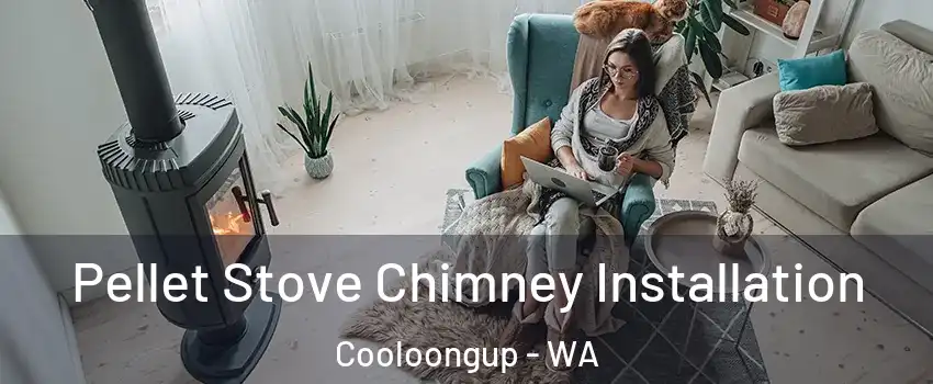 Pellet Stove Chimney Installation Cooloongup - WA