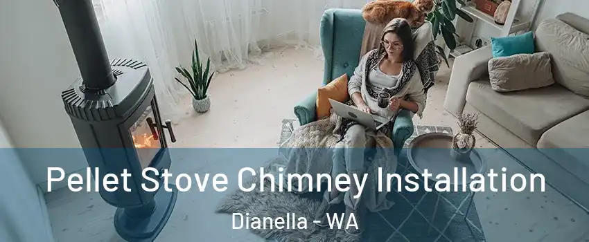 Pellet Stove Chimney Installation Dianella - WA